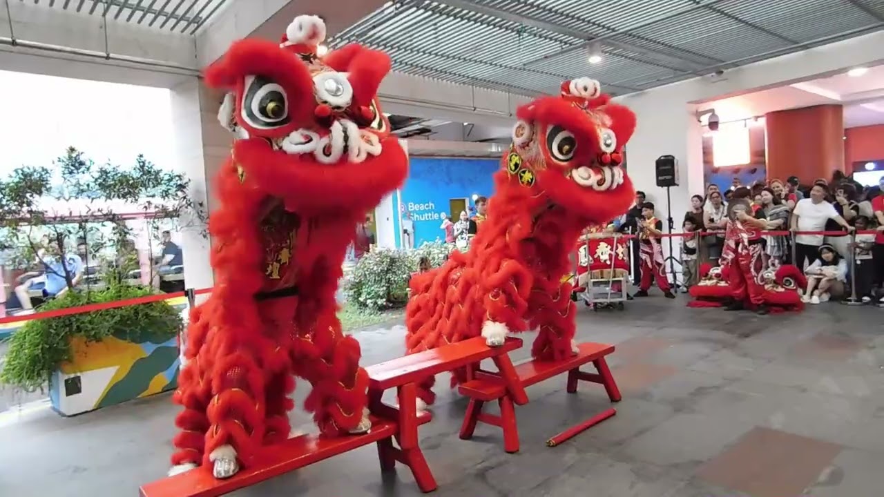 2026 02 17 Lion Dance Performance at Sentosa for the Lunar New Year Day1