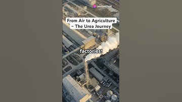 Urea: Strength of Crops #urea #nitrogen fertilizer#crop #soil