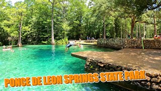 Diving Into the Panhandle | Ponce De Leon Springs State Park | Florida