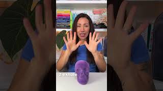 Why You Feel Disconnected, and How to Reconnect Your Mind and Body