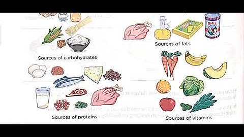 Class 5th Subject Science ch-4 Part 2 by ANUJ YADAV SIR 25 7 20