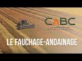 Cabc  le fauchageandainage en macdon m1 