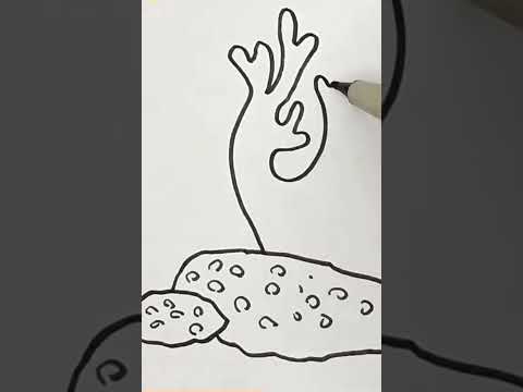 رسم شعاب المرجانية بطريقة سهلة وبسيطة وجميلة