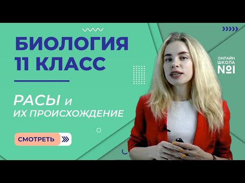 Расы и их происхождение. Видеоурок 16. Биология 11 класс