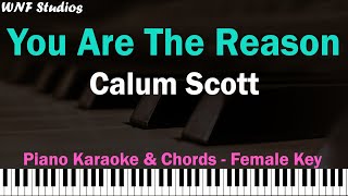 You Are The Reason - Karaoke Female Key \u0026 Tutorial Chord C (Calum Scott)