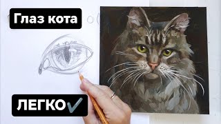 Как Нарисовать Глаза Кошки Поэтапно. Очень Легкий Способ