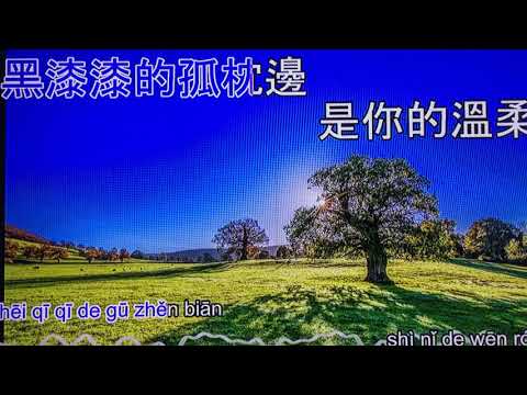 恋曲1990。