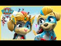 PAW Patrol Mighty Pups, Dino Rescues, and More! | PAW Patrol | Cartoons for Kids Compilation