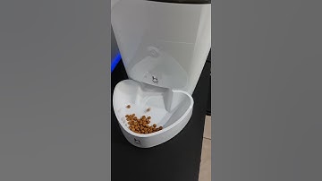 ALIMENTADOR INTELIGENTE PARA PETS