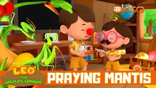 Is the PRAYING MANTIS making the plant ill? | Leo the Wildlife Ranger Spinoff S3E13 | @mediacorpokto