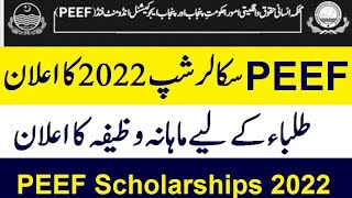How to Apply PEEF Scholarships 2023-24 for Intermediate & Graduation | PEEF 2024 Online Apply