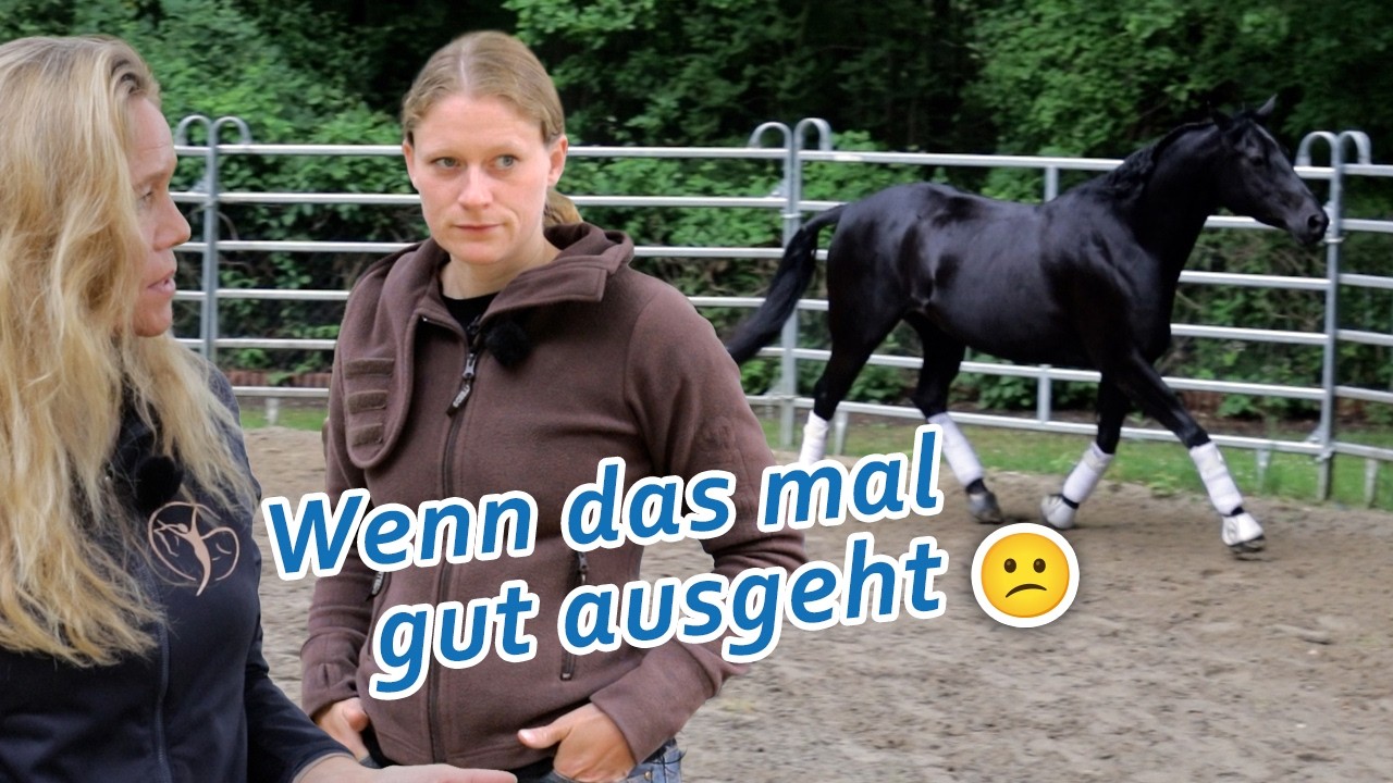 Losrasen in Schieflage als Schutz vor Schmerzen – diese Stute weiß nicht, wie sie galoppieren soll
