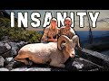 Insanity a backcountry bighorn sheep hunt full film