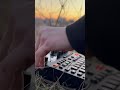 Black Sea DNB Ritual Black Sea coast 🌅 Digitakt
