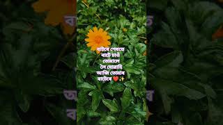Batore Xekhote – The soulful melody by Zubeen Garg that touches every heart#BatoreXekhote#trending