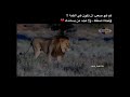 لسنا بحاجة لأحد قد نضجنا من بأس الحياة