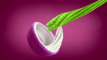 iDessert instruction