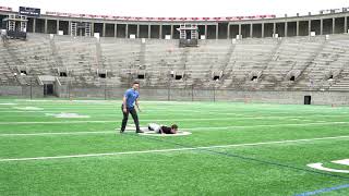 Pushup Position Start to Sprint