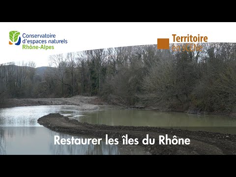 Restauration de quatre étangs sur les îles du Rhône