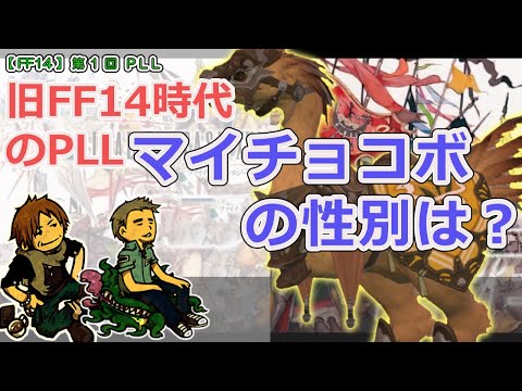 【FF14】第1回 PLL「マイチョコボの性別は？」