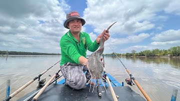 CÂU CÁ NGÁT SÔNG VÀ MỒI CÂU CÁ NGÁT SIÊU NHẠY