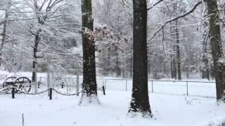 02/25/2015 Snowfall