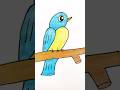 رسم عصفور سهل Shortsvideo