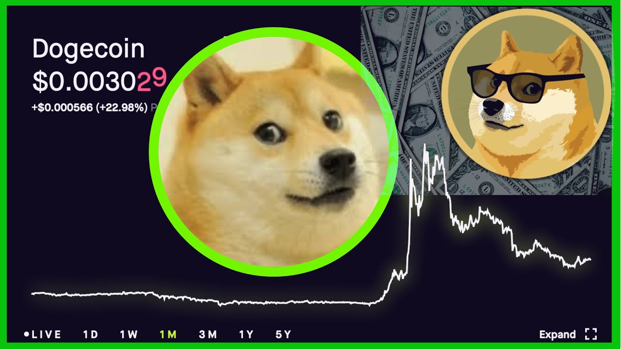 I Invested In Dogecoin! How Rich Did I Get After One Week! Robinhood ...