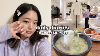 🌷 daily diaries: valentines prep, birthday shopping for friends, malibu day 🎀