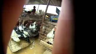 Feira do Km 30 - Angola