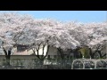 待ちぼうけ 井上陽水 カバー