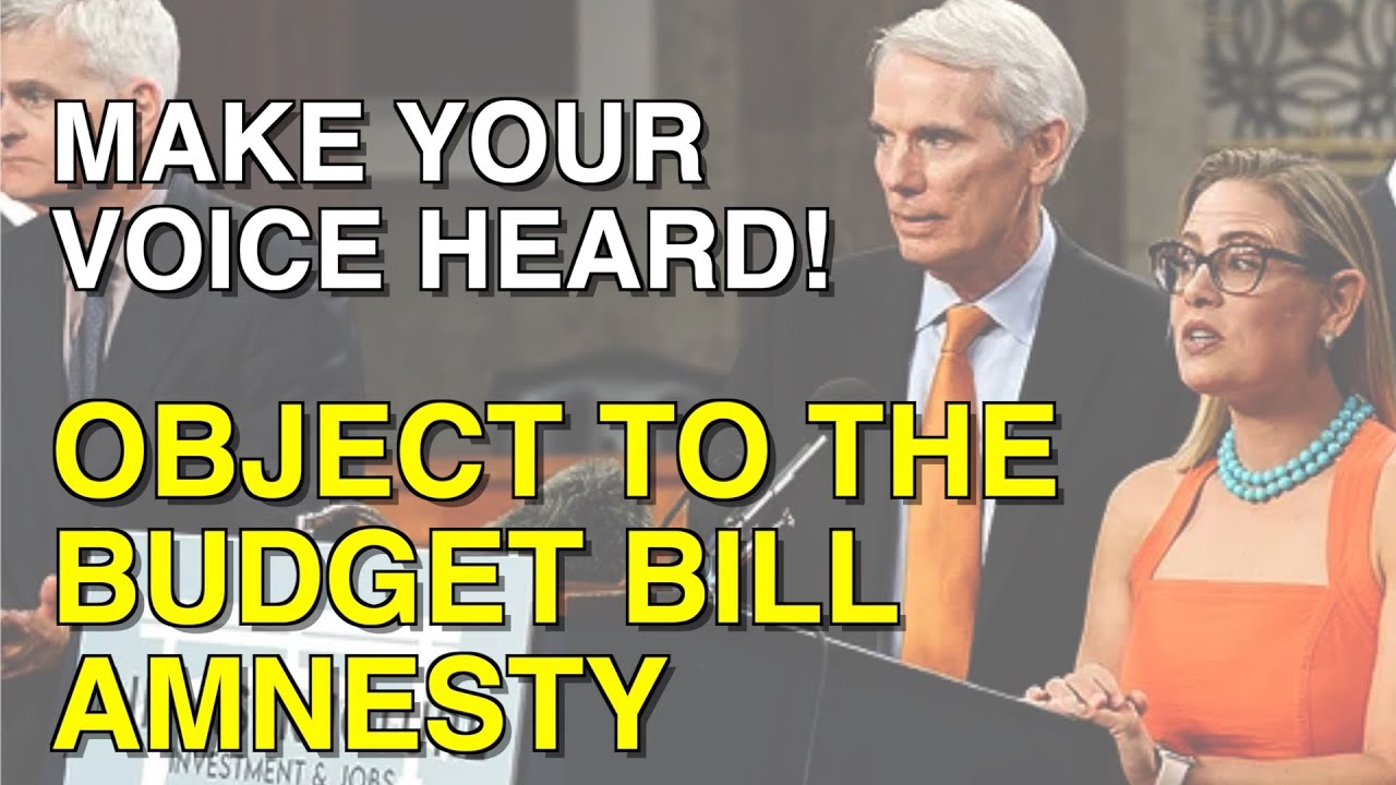 Make Your Voice Heard - Object to the Budget Bill Amnesty! - YouTube