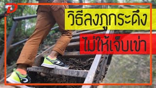 [คลิป 176] เทคนิคลงภูกระดึงยังไง ไม่เจ็บเข่า