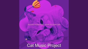 Pulsating Ambiance for Cats