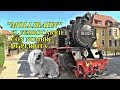 "MOLLIBAHN" EL FERROCARRIL CON NOMBRE DE PERRITA