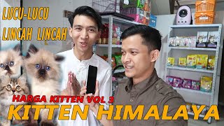 MHARGA KUCING DI AMRIPETSHOP