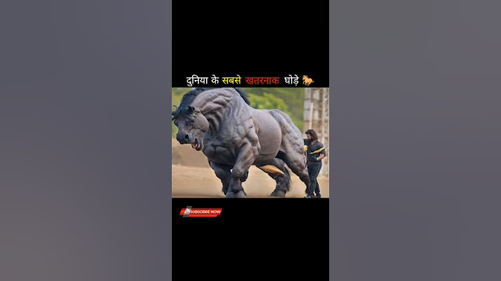 || दुनिया के सबसे खतरनाक घोड़े🐎 || Amazing Facts || #shorts #ytshorts #facts