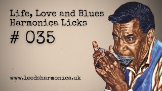 (035) Life, Love and Blues Harmonica Licks (Big Walter Horton shuffle/lick/groove)