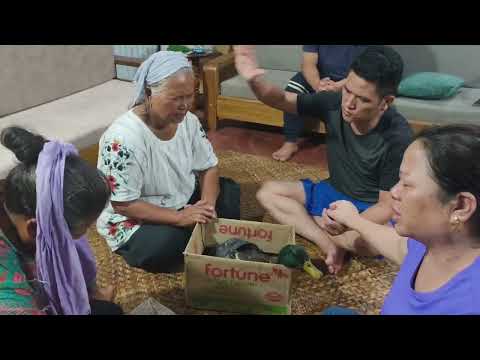 Pakai Lhacha Teni Komma Thipha Hungbol Nuteni Ahampha Lhonne Pachat A Um Lhonne