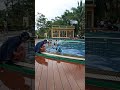 Berenang Sebelum Pandemi