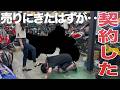 キミさぁ、バイク飽きて売りに来たんだよね？何やってんの？
