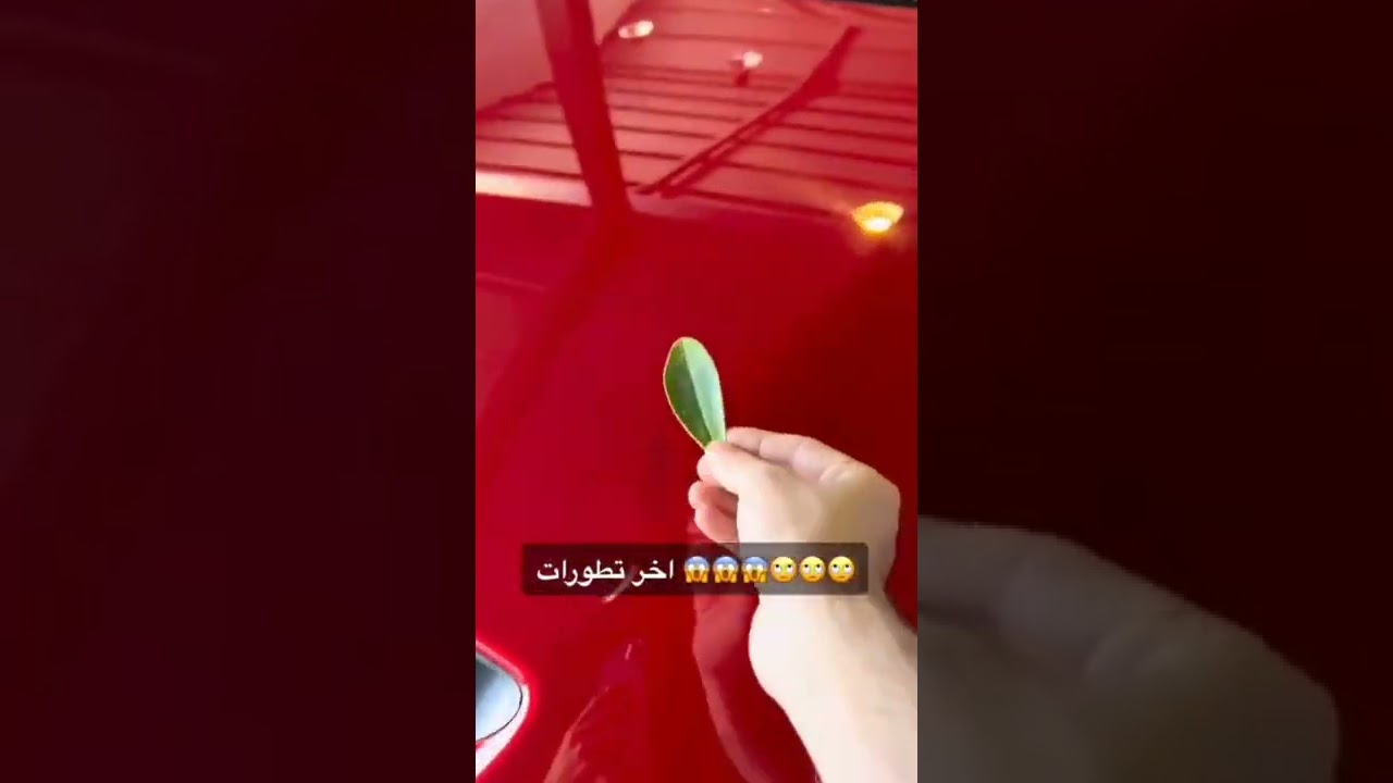 Magic Leave use in Changing Car Colour to green  😳😳 what do you think about it (👍or👎) #shorts
