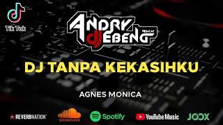 DJ Tanpa Kekasihku ( Agnes Monica ) Breakbeat Terbaru Fullbass