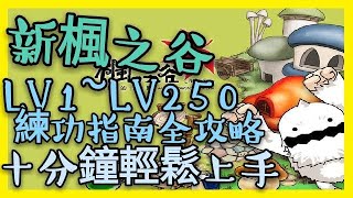 TMS【新楓之谷】Maplestory - LV10~LV250 練功指南全攻略! 十 ...