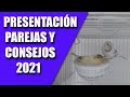 CRÍA CANARIOS (PRESENTACION PAREJAS 2021) CONSEJOS