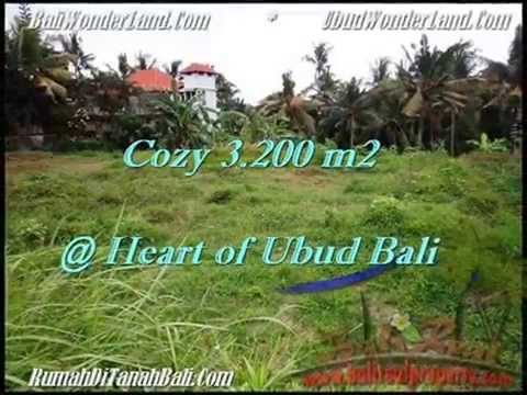 INVESTASI PROPERTY JUAL  TANAH MURAH di  UBUD  BALI TJUB510 