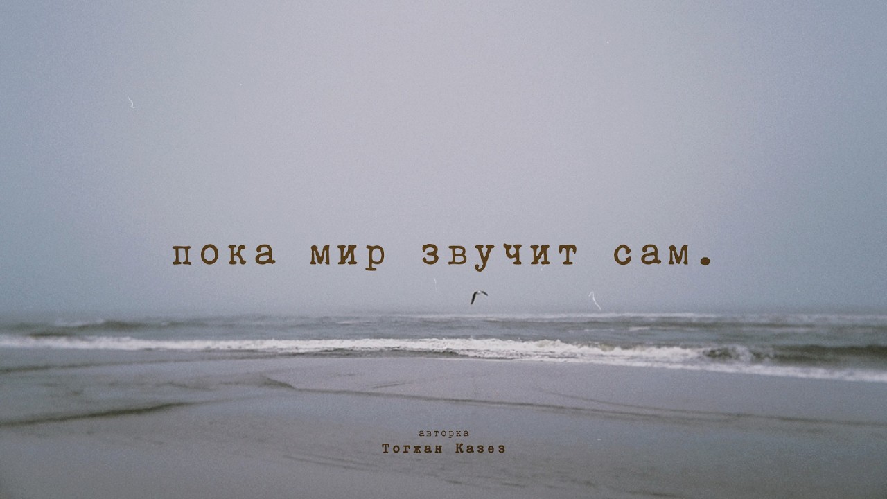 пока мир звучит сам — документальный дневник