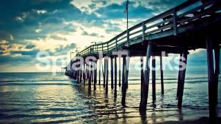 Marvin Divine - Settle Down (Remix)
