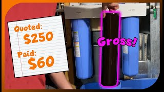 How to Replace 20' Big Blue Sediment Filters by DIY and SAVE 4,122 views 11 months ago 11 minutes, 2 seconds
