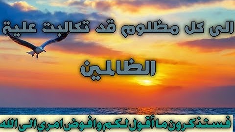 (وأفوض أمري إلى الله) تلاوة عراقية باكية /القارء الشيخ ياسر سيد /صلاة العشاء